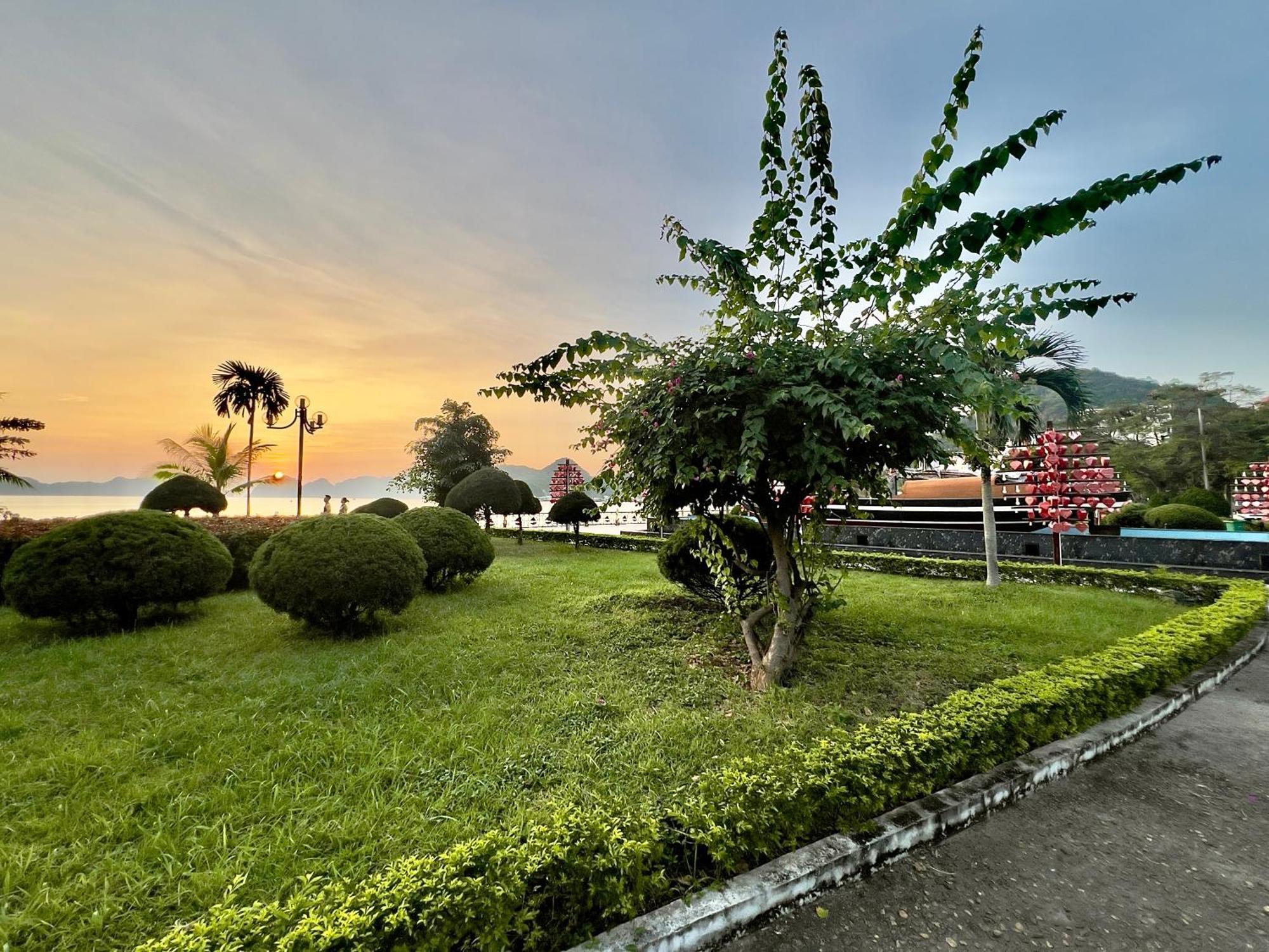 Phoenix Flower Hotel Dong Khe Sau